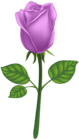 Purple Deco Rose PNG Clip Art Image