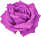 Purple Dreamy Rose PNG Clipart