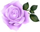 Purple Rose Clip Art Image