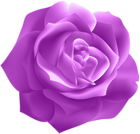 Purple Rose Deco Clip Art