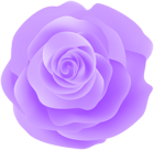 Purple Rose PNG Decorative Clipart