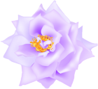 Purple Rose Transparent Clip Art