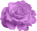 Purple Rose Transparent Clip Art Image
