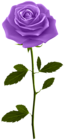 Purple Rose with Stem PNG Clip Art Image