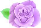 Purple Single Rose PNG Clip Art Image