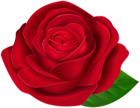 Red Beautiful Rose with Leaf PNG Clipart