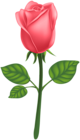Red Deco Rose PNG Clip Art Image