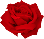 Red Dreamy Rose PNG Clipart