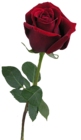 Red Rose Bud PNG Clipart