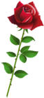 Red Rose Cartoon Style PNG Clipart