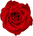 Red Rose Clip Art Image