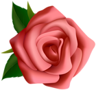 Red Rose Clipart PNG Image