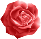 Red Rose Deco Clip Art