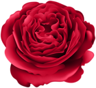 Red Rose Deco Transparent Image