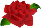 Red Rose Decor PNG Transparent Clipart