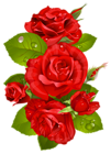 Red Rose Decoration Transparent PNG Clip Art Image