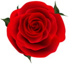 Red Rose Decorative Clip Art