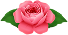 Red Rose Decorative Clipart
