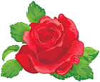 Red Rose Decorative Transparent Image