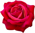 Red Rose Flower Clip Art Image