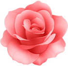 Red Rose Flower Clip Art Image