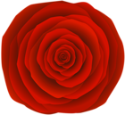 Red Rose Flower PNG Clip Art Image