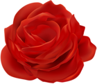 Red Rose Flower PNG Clip Art Image