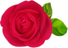 Red Rose Flower PNG Clipart