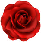 Red Rose Flower PNG Clipart Image