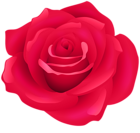 Red Rose Flower PNG Transparent Clipart