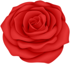 Red Rose Flower Transparent Clip Art Image