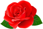 Red Rose Flower with Leaves PNG Clipart