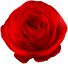 Red Rose PNG Clip Art