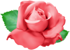 Red Rose PNG Clip Art Transparent Image