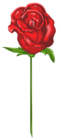 Red Rose PNG Clipart