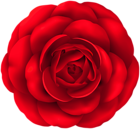 Red Rose PNG Flower Clipart