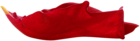 Red Rose Petal PNG Clip Art Image