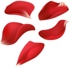 Red Rose Petals Transparent Clip Art Image