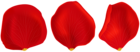 Red Rose Petals Transparent PNG Clip Art