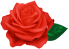 Red Rose Transparent Clipart | Gallery Yopriceville - High-Quality Free ...