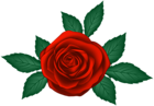 Red Rose Transparent PNG Clip Art Image