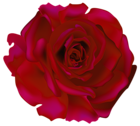 Red Rose Transparent PNG Clip Art Picture