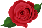 Red Rose with Leaves PNG Clip Art Image