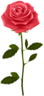 Red Rose with Stem PNG Clip Art