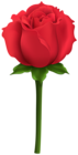 Red Rose with Stem PNG Clipart