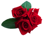 Red Roses PNG Clipart Image