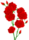 Red Roses Transparent PNG Clip Art Image