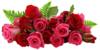 Red and Pink Roses PNG Picture