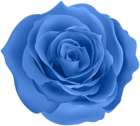 Rose Blue Color PNG Clipart