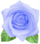 Rose Blue PNG Clip Art Image